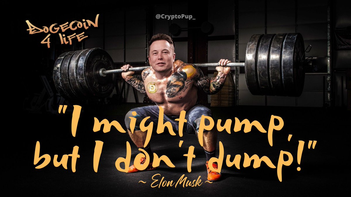 CryptoPup_'s tweet photo. @ViRydogeBelgium Keep pumping @elonmusk. ππππ
#DogecoinToTheMoon #DogeArmy #DOGEFAMILY #Dogecoin #cryptotwitter #PumpDontDump #DOGE https://t.co/hbp65lNRCS