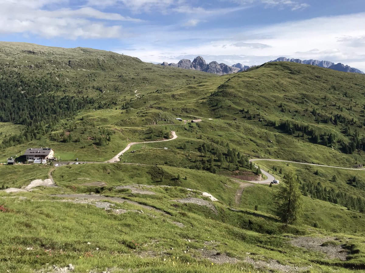 fedechiccalippi's tweet photo. Passo Valles luglio 2021! Posto splendido. #trentino https://t.co/Osj6DhMtUV