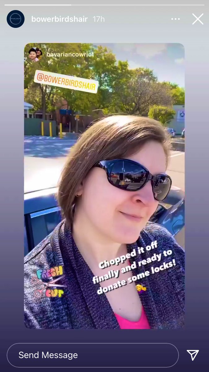 BowerBirdsHair tweet media