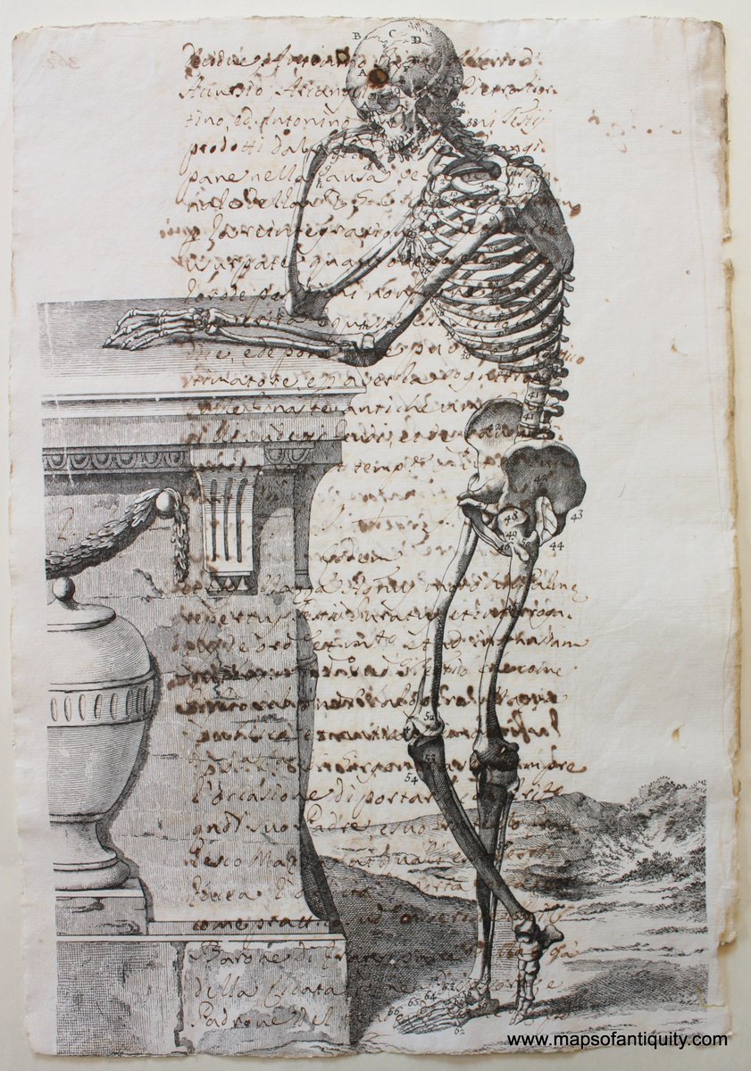 mapsofantiquity's tweet photo. The spookiest time of year is here!
#mapsofantiquity #october #October1st #Halloweenseason #halloween #spooky #spookyszn #spookymonth #spookyvibes #spookytime #spookyseason👻 #spookyseason🎃 #spookyseason2021 #skeletons #allhallowseve #mementomori
https://t.co/seLX99APOD https://t.co/w8HIq5POVx