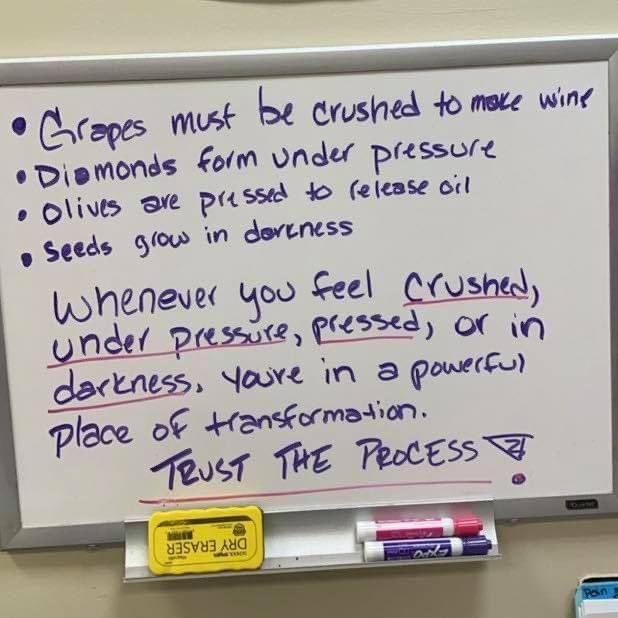 AllistairMcCaw's tweet photo. Trust the process 👊 https://t.co/NZ0tZrKOVB