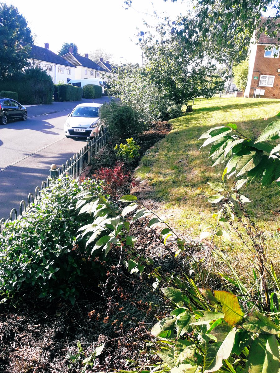 FletchHort's tweet photo. I’ve had a very nice few days work recently helping to tidy up this area of community planting in @welshhousefarm, taking me back to where I started on my horticultural journey as a volunteer about 5 years ago! 🤩💚🌱

#Gardening #CommunityGardening https://t.co/aeUIknvZsC