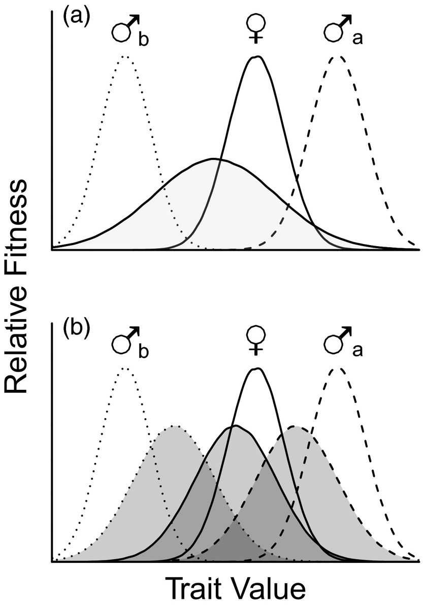 EvolAppJournal's tweet photo. A potential role for restricted intertactical heritability in preventing intralocus conflict
https://t.co/Dg1YVVh9Fm
Gamble &amp; Calsbeek @madigamble @calsbeek
=> Artificial #selection on jacks in threatened Coho #salmon likely does not affect #female #fitness
#intralocus #conflict https://t.co/8jnBt1xOUl