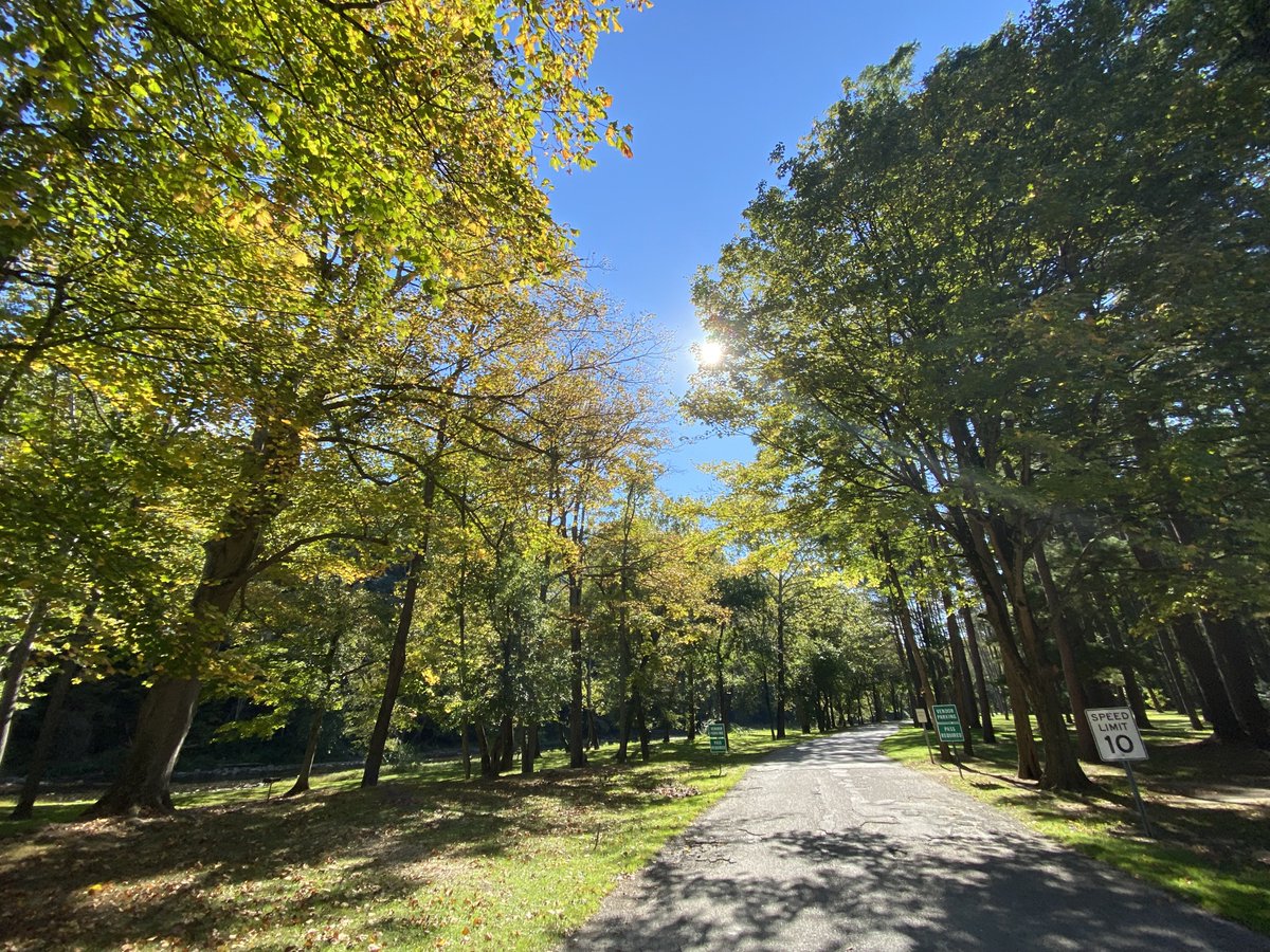 EricWFMJ's tweet photo. It’s October, which means the leaves are changing and the @YoMarathon is this month! Want to run the 5K(3.1 miles), the half (13.1) or the full (26.2) on October 24? Sign up at https://t.co/RAD1ztxpoi and use the Code ERIC21 to get 15% off. #runtheyo #halfmarathontraining https://t.co/fC44qKI9fs