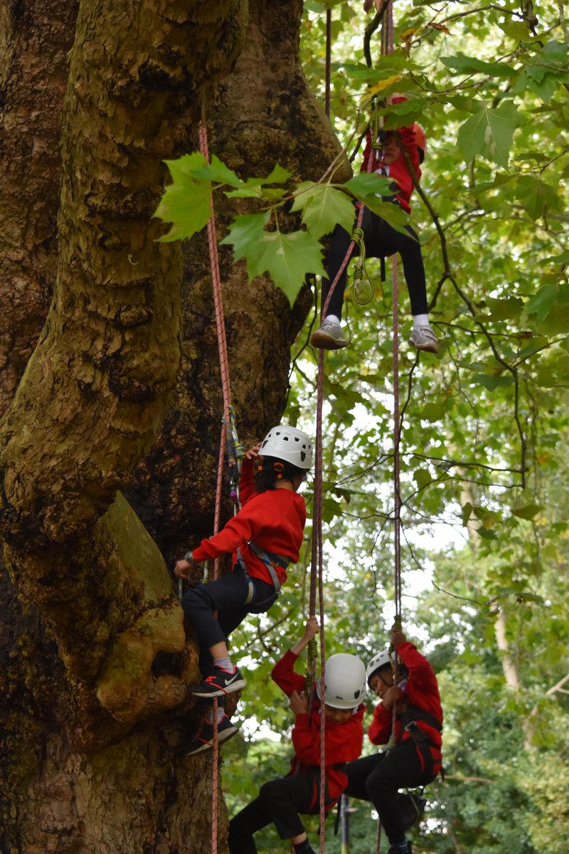 Y4 had an amazing Tree Climbing music session <a href="/Yourallypally/">Alexandra Palace</a> thanks to <a href="/artsandgardens/">Arts and Gardens</a> The children came down braver than they went up!