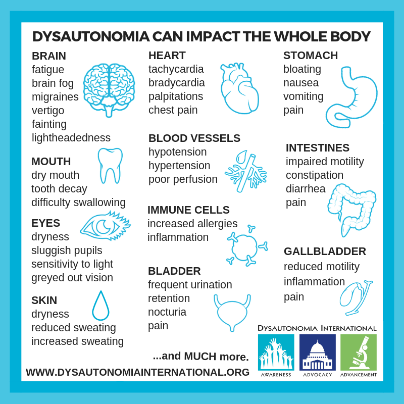 MigraineSummit's tweet photo. Over 70 million people live with dysautonomia worldwide.  
#Dysautonomia is a dysfunction of the Autonomic Nervous System (ANS), which regulates nonvoluntary body functions such as heart rate, blood pressure, and digestion. 

@Dysautonomia #DysautonomiaAwarenessMonth #Migraine https://t.co/bzoqSdt4LS