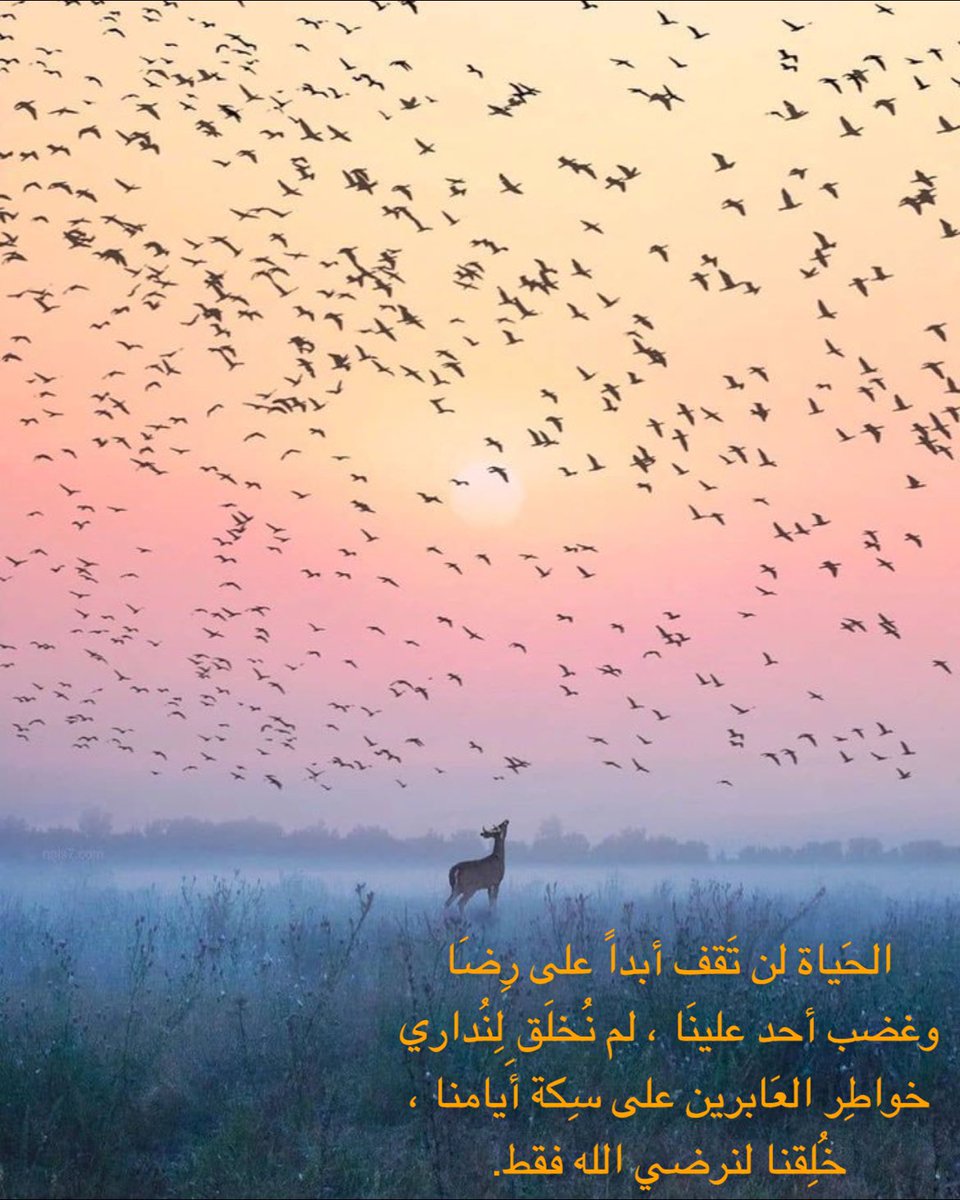 WinterSoldierYZ's tweet photo. https://t.co/M3LhB9bMev