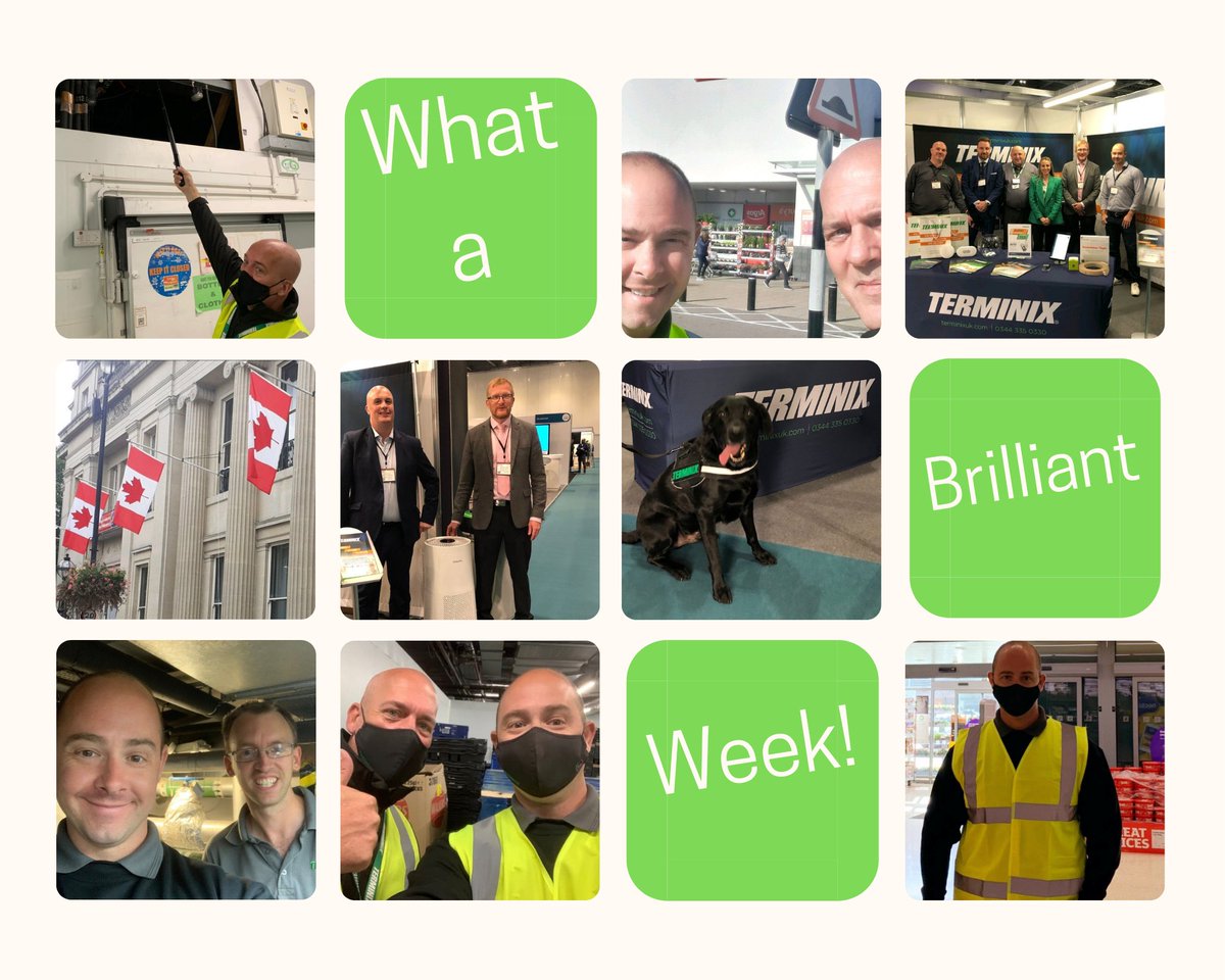End to a very busy and awesome week!  @TerminixUK #teamwork #pestcontrol