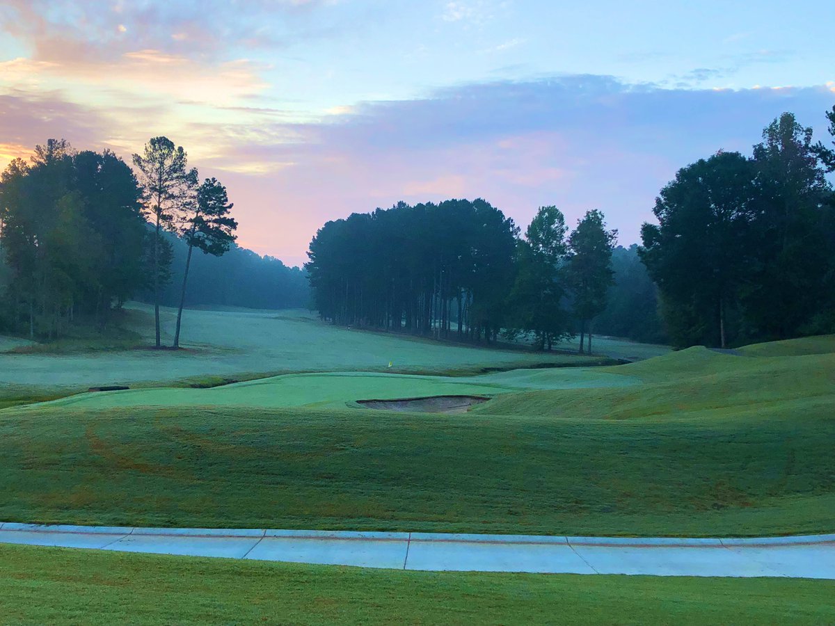 Patrick O'Shea tweet media