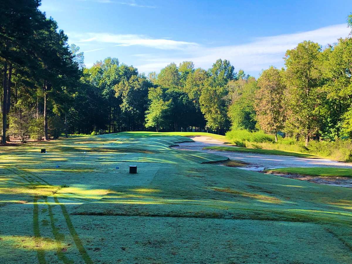 Patrick O'Shea tweet media