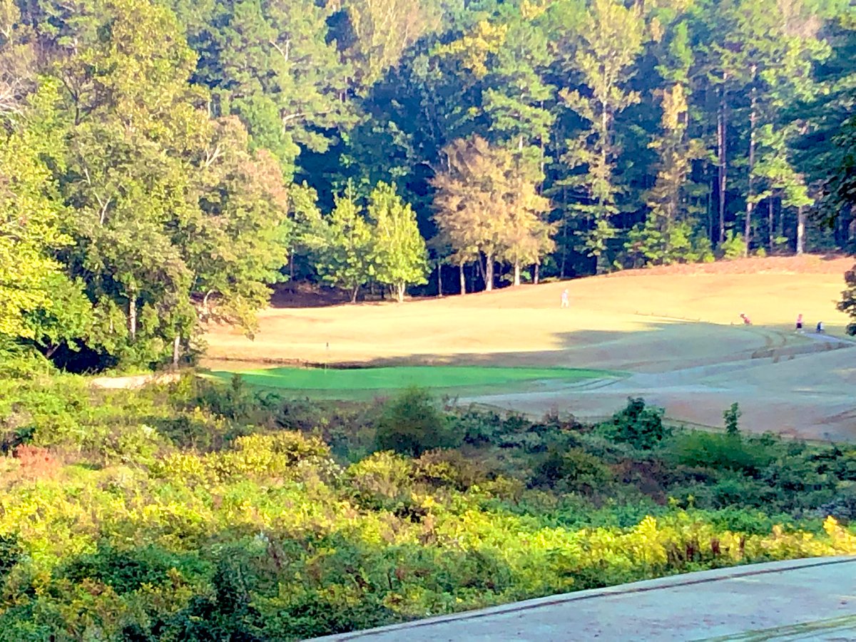 Patrick O'Shea tweet media