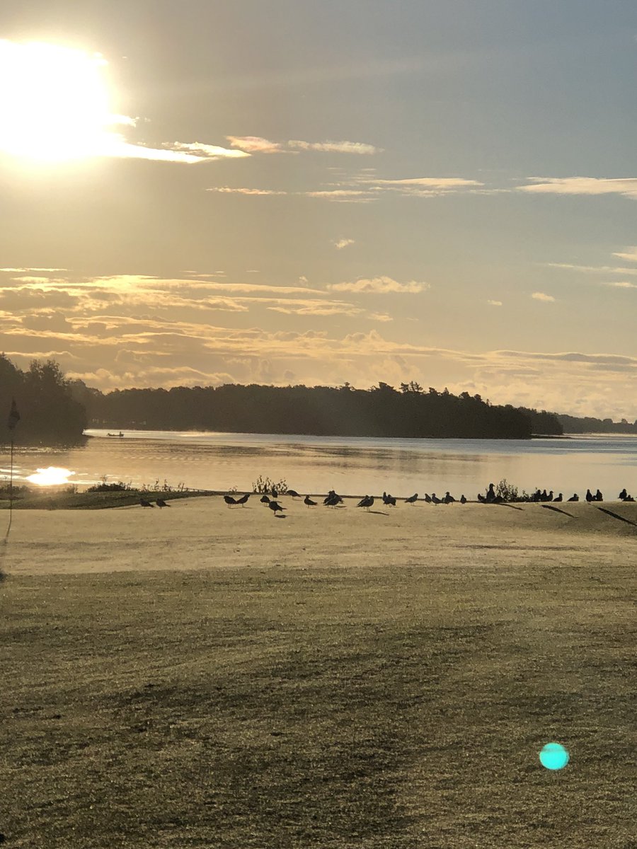 papahenn15's tweet photo. Number 8 at Dundarave was playing easy… A lot of birdies today!!!😂😂 #puney 🤦♂️🤦♂️😜 https://t.co/GGe74PEqen
