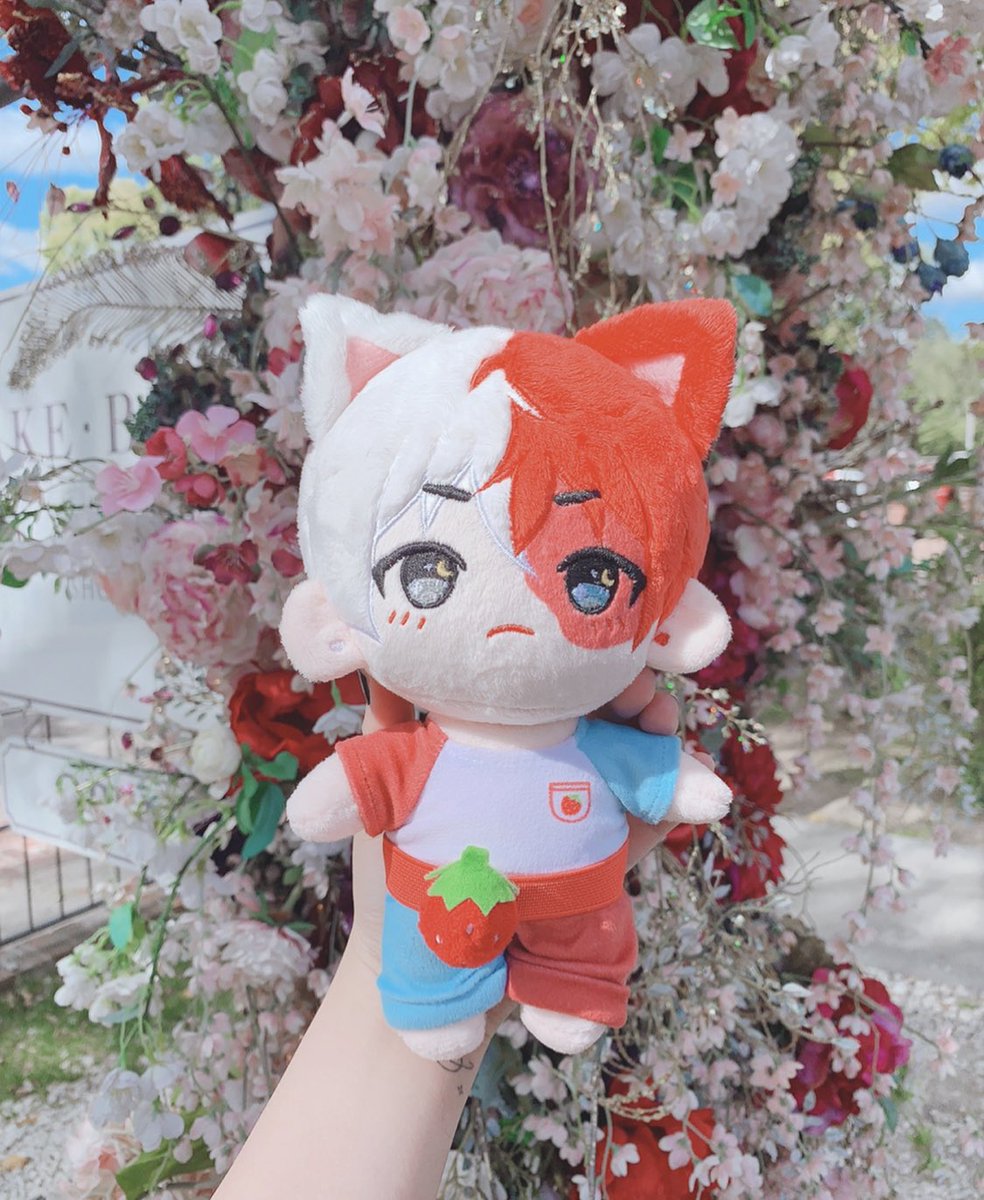 agijagishop's tweet photo. 🎃 AGI JAGI OCTOBER GA 🎃

In celebration of spooky season, I’m giving away a free Strawberry Shortcake Shoto plushie with both outfits! 

How to enter:
🧊Follow and Retweet
🔥Comment why you love Todoroki!

This giveaway is open internationally and ends on October 8th. ❤️ https://t.co/9HwByBXY6a