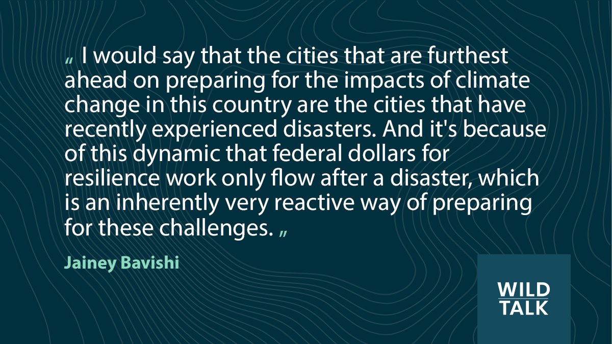 WildTalk tweet media