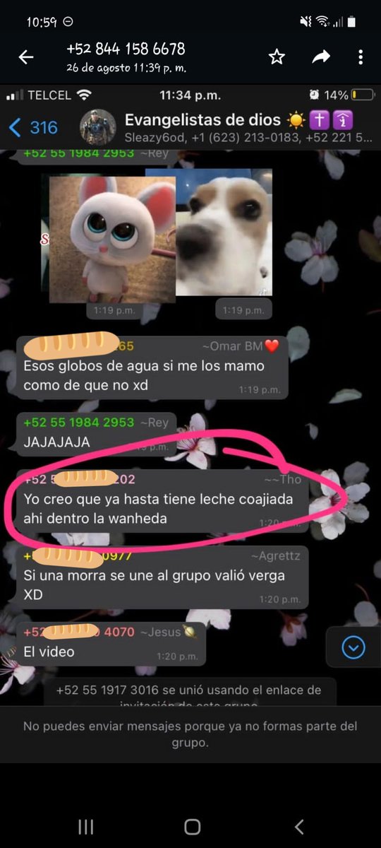 🩷Medusa🩷 tweet media