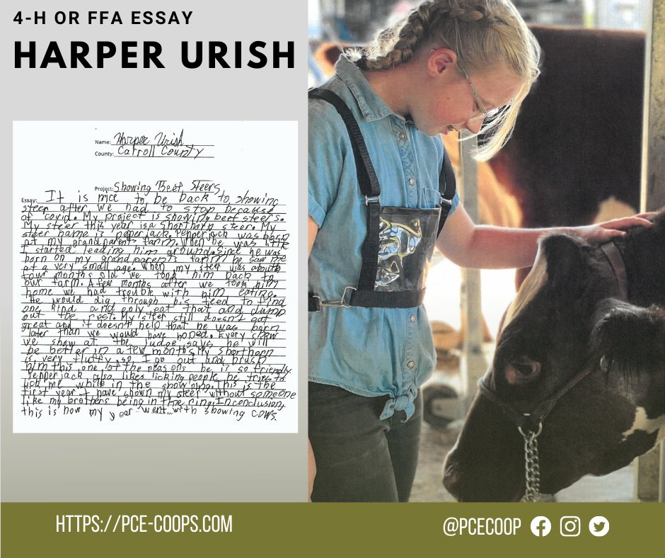 PCECOOP's tweet photo. This year we wanted to spread our support amongst all our 4-H &amp; FFA patrons and members! They were asked to submit a essay answering, “What leadership skills has your livestock fair project taught you?” Harper did just that in her sweet essay below.
#pcecommunity #leadership https://t.co/rjTuAXspRq