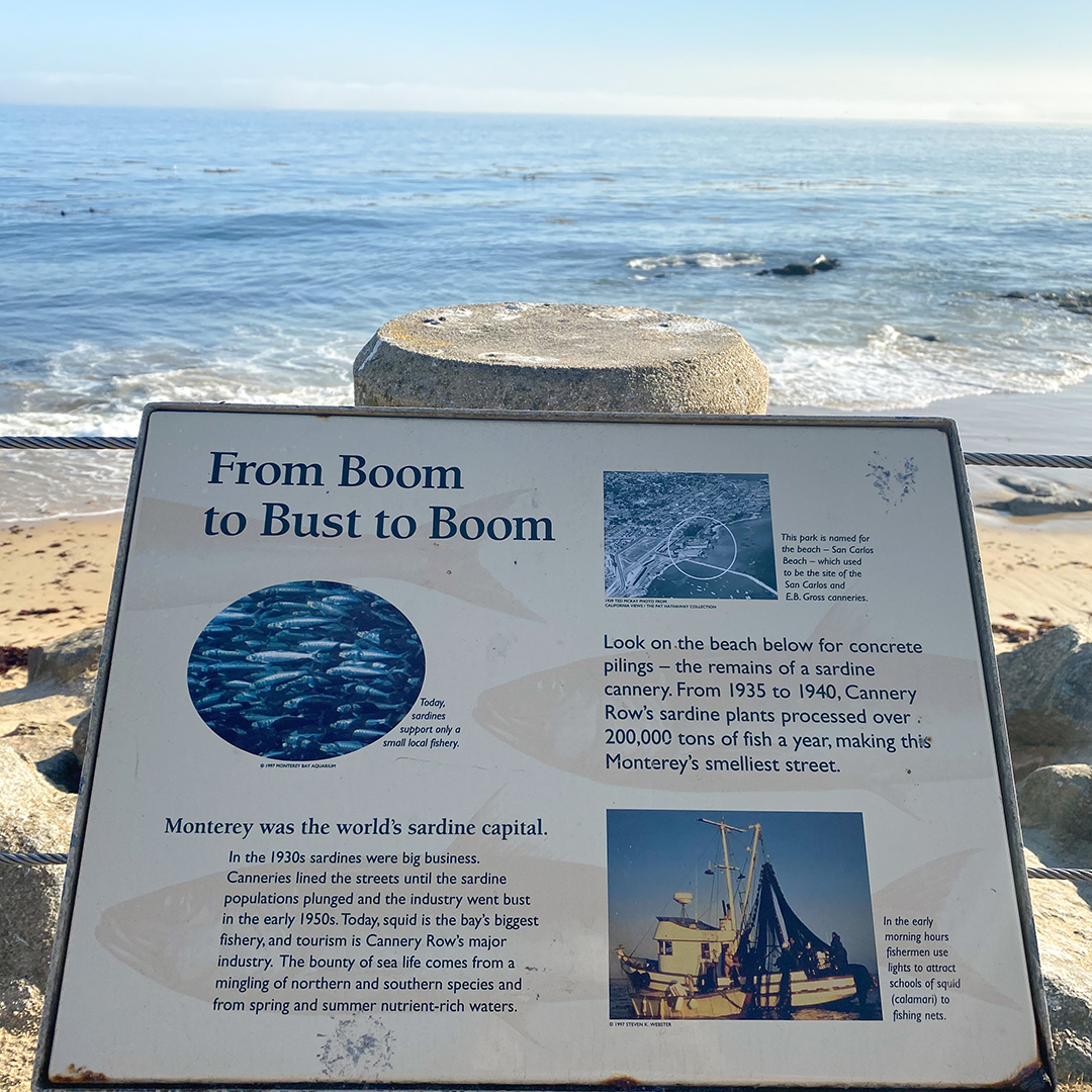 DeAnza_Inn's tweet photo. Sunday Strolls through Monterey.
•
•
•
#deanzainn #bestwestern #ecofriendlyhotel #monterey #visitmonterey #montereydreamin #montereyhotel #visitcalifornia #broughtonhotels #montereylife #staycation #weekendgetaways #itsbeingbroughton #californiabeach #centralcoast https://t.co/i8vzIpAUOi