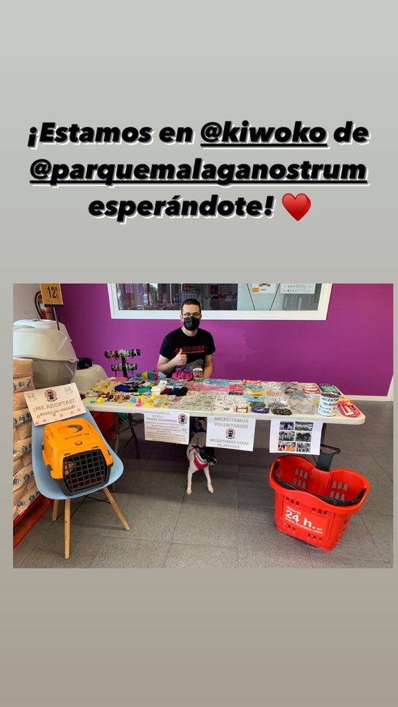 trecemichis's tweet photo. ¡Todavía estás a tiempo de visitarnos y echarnos una patita! ♥️ https://t.co/QiphGJu7nA
