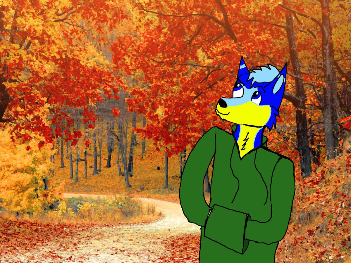 Hachi_fox11's tweet photo. Happy #foxtober everyone
Here is some art @SalvageShep made for the hoodie weather https://t.co/qhjgdzm02e