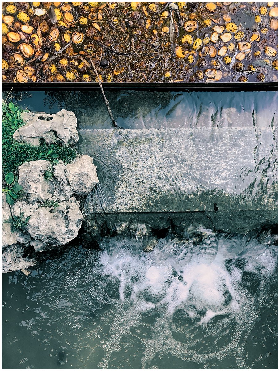 Pazanado's tweet photo. #traveltheworld #travel #water #rectangle #nature #font #art #geometricart #adventureawaits #getoutside #typography #workofart #artlover #workinprogress #carry #waterresources #naturallandscape #branch #bodyofwater #adaptation #nature_lovers 

Retiro. Madrid. Autumn 2021 https://t.co/DWvVGDEO0i