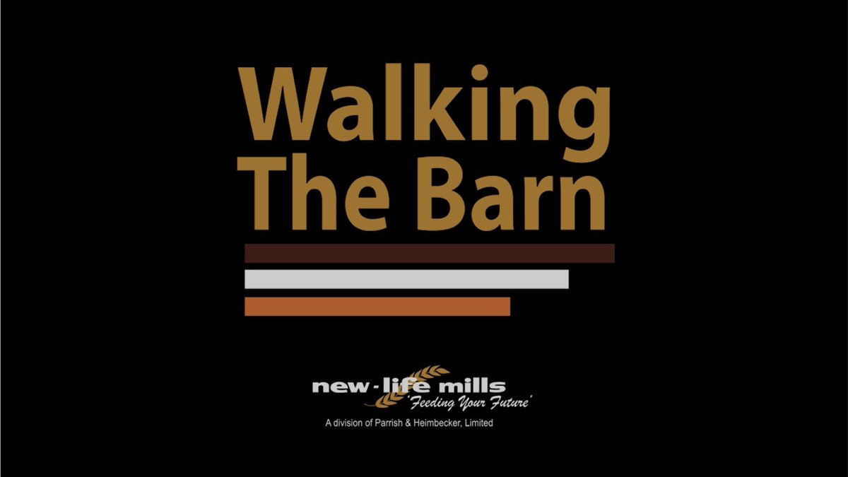 NewLifeMills's tweet image. We are excited to share with you our new video series &quot;Walking The Barn&quot;! Check out our first video on #LightIntensity!
#FeedingYourFuture #WalkingTheBarn

CLICK TO WATCH: ow.ly/P27I50GjLJx youtu.be/IJoeKbxkrBg