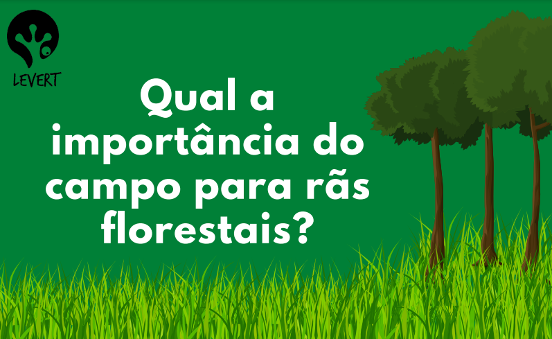 Camila_Moser's tweet photo. A thread de hoje é sobre parte do nosso artigo publicado na @AustralEcology 
Qual a importância do campo para rãs que vivem em ambientes florestais? 🐸🐸
Segue o fio! 🧶 https://t.co/ptk62PcPSE