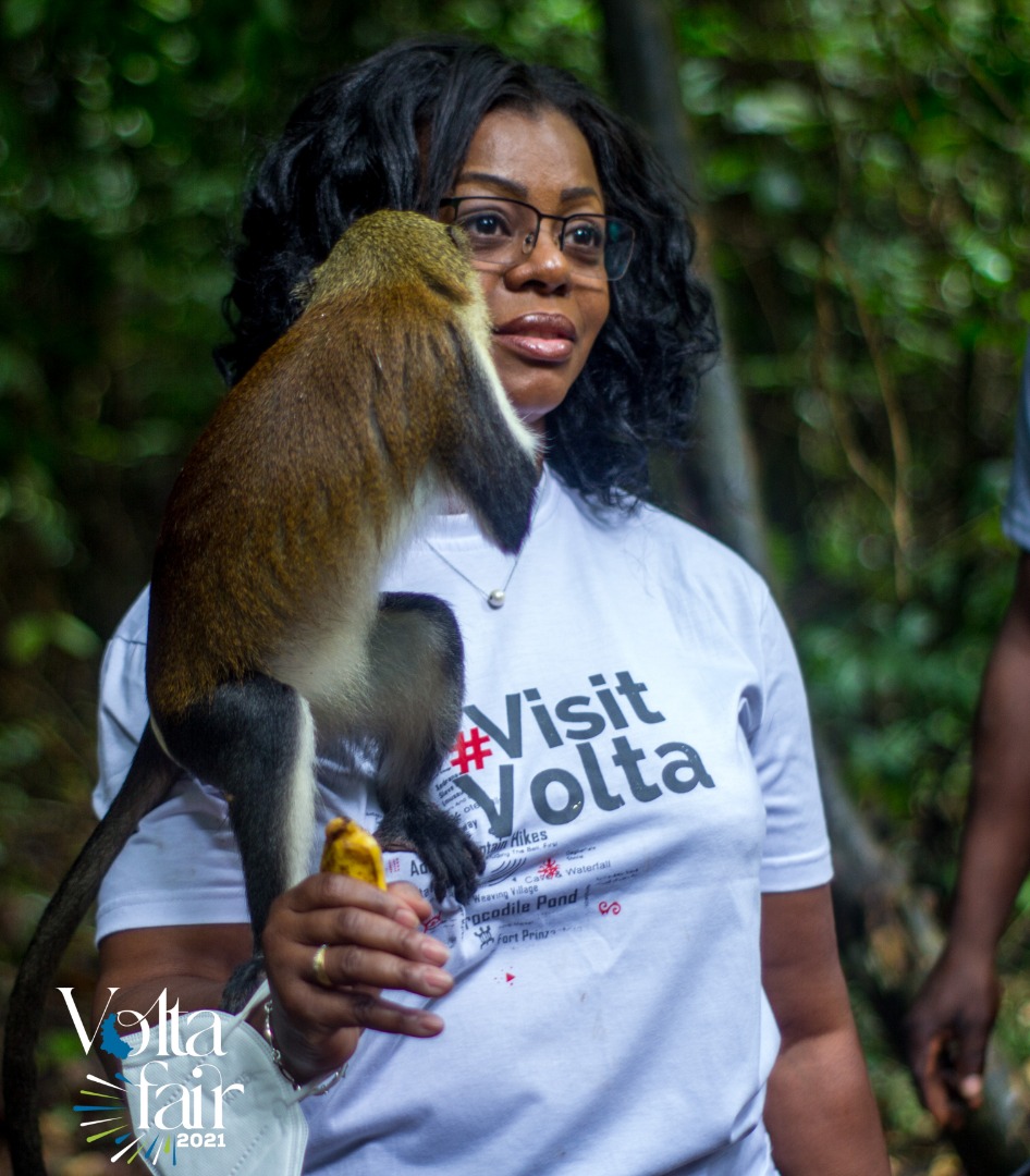 Volta Fair 21 (@voltafair) on Twitter photo 