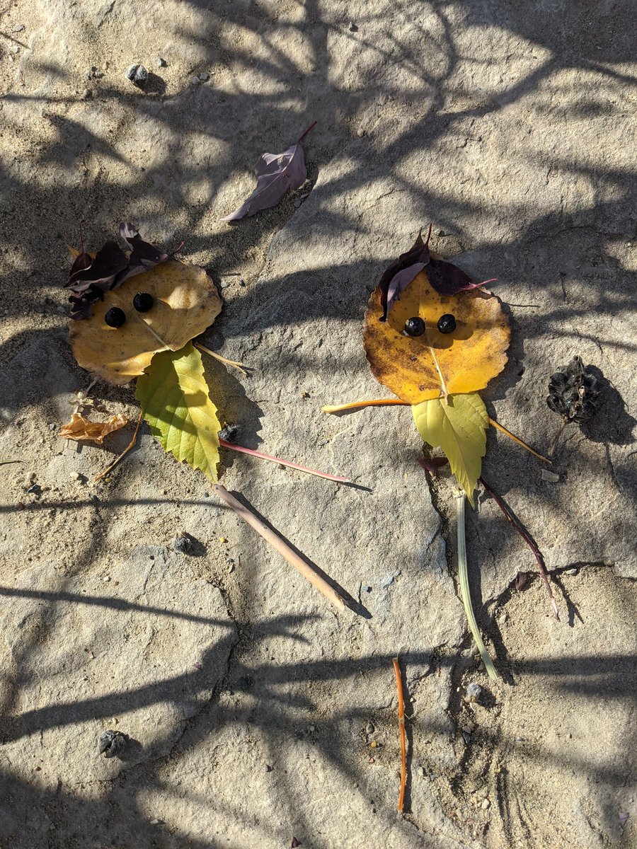 hlandrews11's tweet photo. 3/4 D made art with found natural objects #learningontheland
@cambrianheights https://t.co/3xwsuufVLl