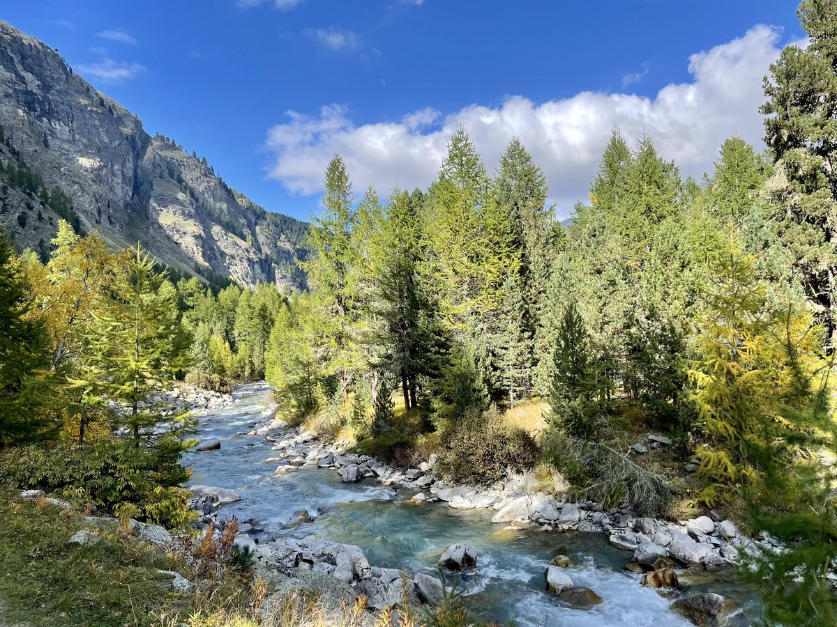 silentmauvie's tweet photo. …start in den oktober geglückt #InLoveWithSwitzerland #bellaengiadina #valroseg #happyplace https://t.co/MbZeIopJb4