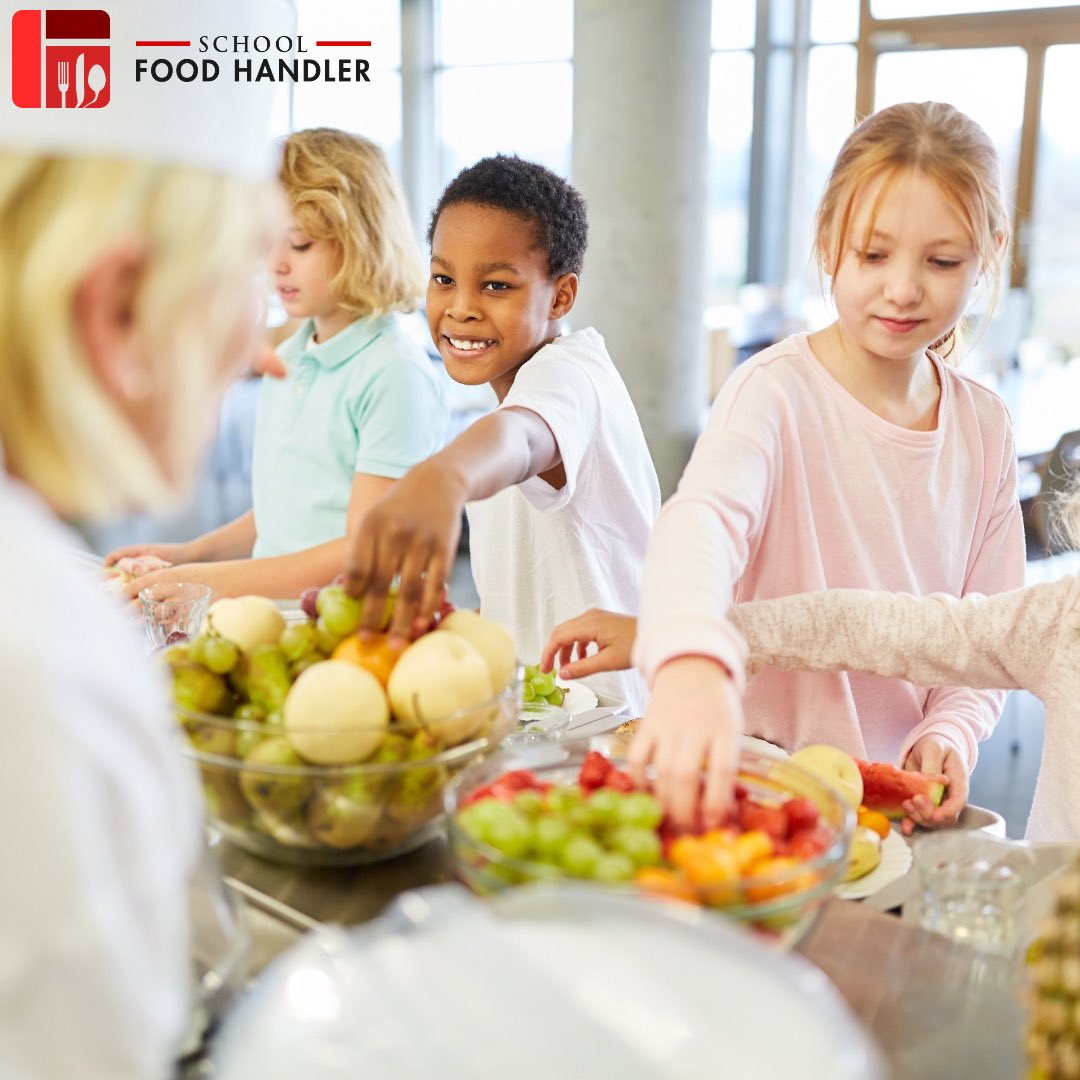 SafeFoodHandler's tweet image. Making opportunities for nutrition education in schools is important. 

It’s a vital part of a comprehensive health education program which empowers children with knowledge and skills to make healthy food and beverage choices. 💡🥗 #schoolnutrition