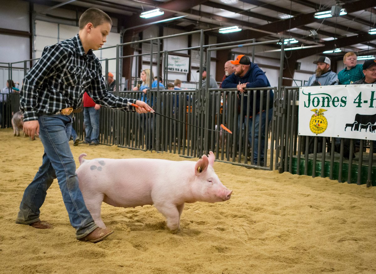 Whether a vet, nutritionist or <a href="/okstate_ag/">Oklahoma State University Extension</a> Extension specialist, involving an expert in swine project planning can help:

🐖 form a biosecurity plan
🐖 determine farm health history and identify concerns
🐖 throughout project

For more info: okla.st/3EW7gFT