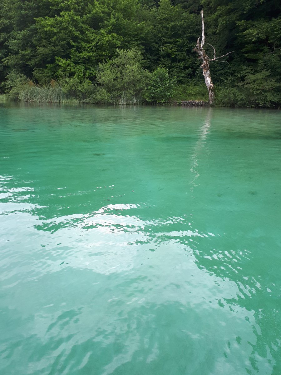 KlaicZB's tweet photo. Congratulatinos to Darko Staver who succesfully defended his graduation thesis at @PMFZAGREB by showing that Kozjak Lake, Plitvice Lakes, Croatia in spite of its small size produces lake-land breezes. #LakeLandBreeze #smalllake #KozjakLake #MorletWavelet https://t.co/fh2FDmNmmT