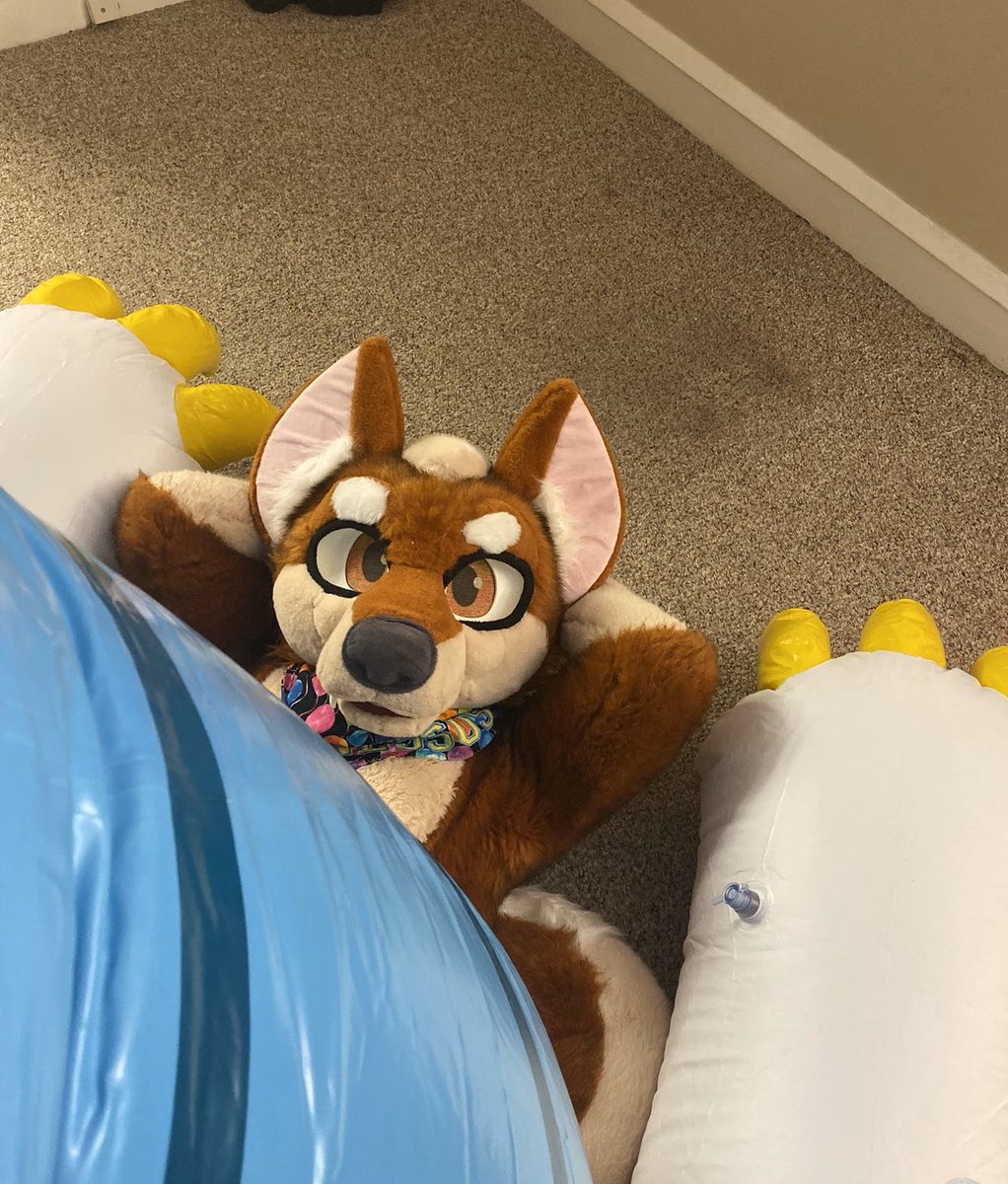 SqueakyKerberos's tweet photo. POV: I’m pinned under a inflatable dragon &amp; being squished to death! 

Jk, I’m cool down here. Keep squishing me🙂

#FursuitFriday https://t.co/t5UelzezAm