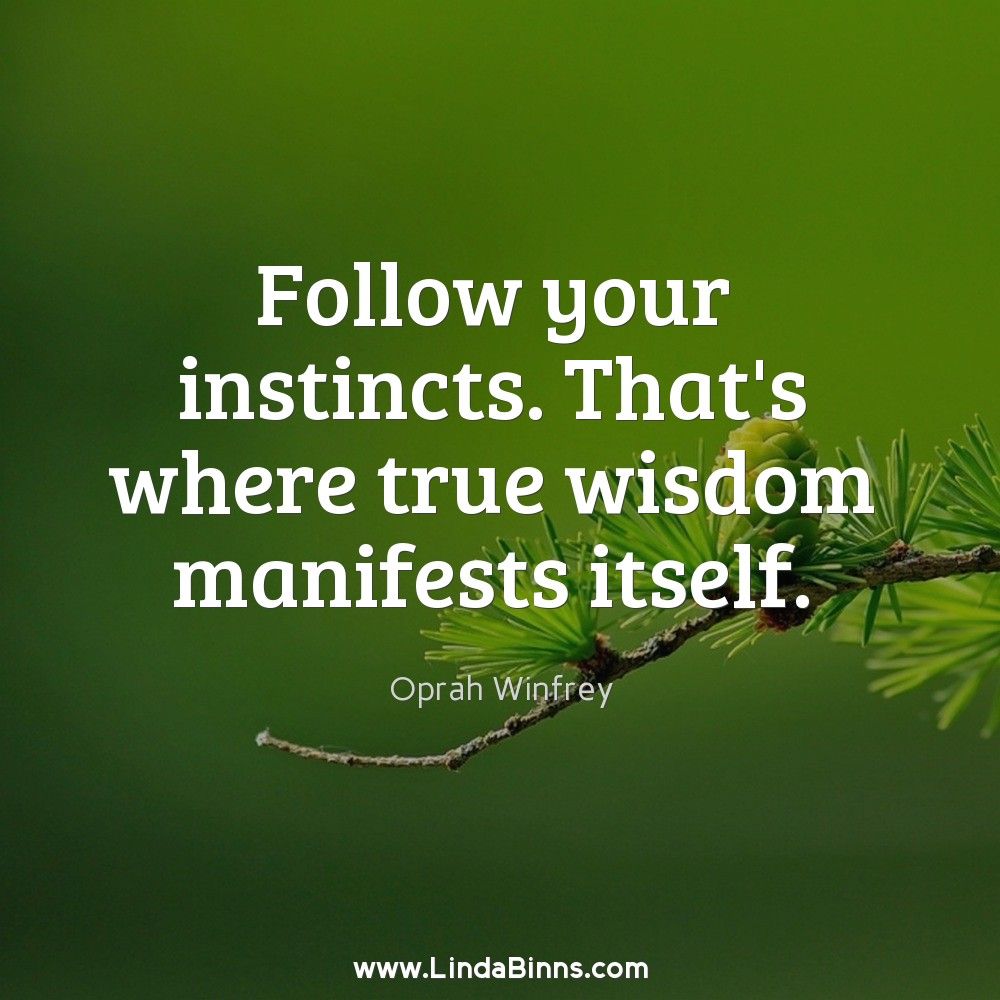 lindabinns's tweet photo. Trust yourself! https://t.co/nNIoPooQwW