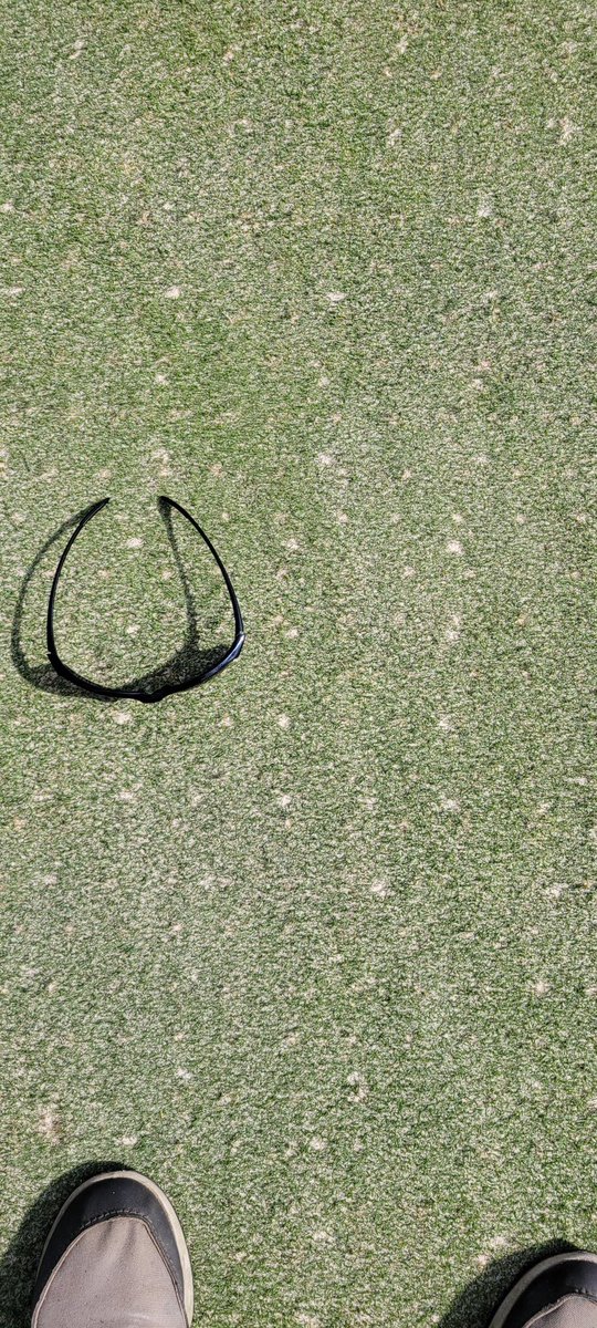 YSU | GGGGG tweet media