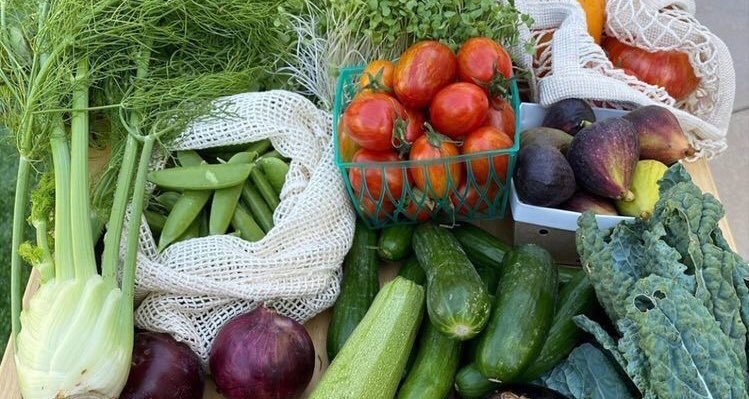 hauteblood's tweet image. self improvement tips:

• daily gratitude.
• good quality sleep. 
• eat a nourishing, balanced diet. 
• practice mindfulness. 
• go on daily hot girl walks. 
• journal your thoughts+emotions.
• hydrate, hydrate, hydrate!!!
• do positive affirmations daily.