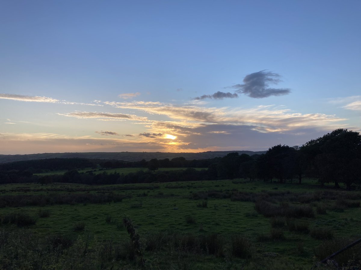 bernardsfarmuk's tweet photo. &amp; that’s another week done ✔️ 🌅 

*sets alarm for 5am for milking 🐄 🥛 👩‍🌾 💪 

#FridayFeeling #WhatWeekend #FirstGenerationFarmer #WomenInDairy #HillFarm #StaffordshireMoorlands #ReliefMilking https://t.co/FLXteN1SXh