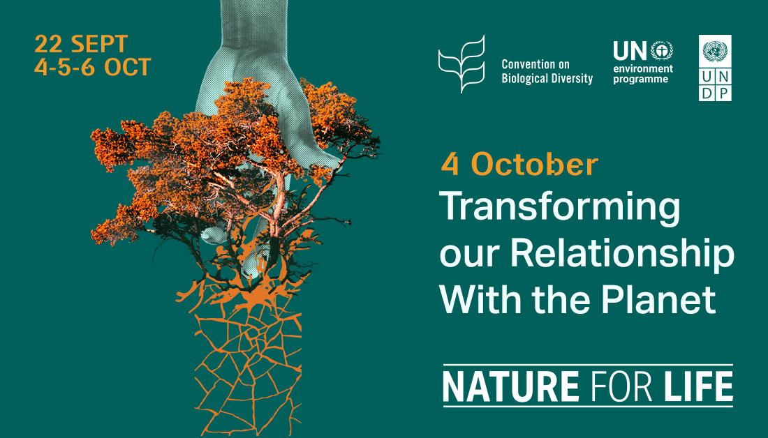 UN Environment Programme North America tweet media