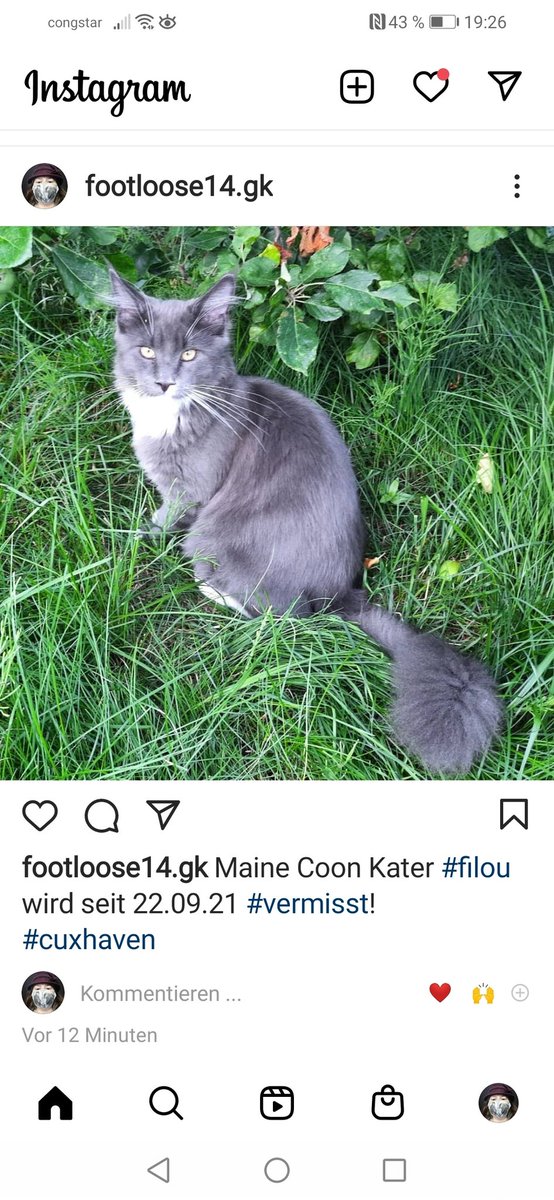 GabiUKiefer's tweet image. .@Cookies_Welten Lieber Cookie und Papa, ich habe einen Instagram Account zur Suche nach #Filou angelegt.
Wenn jemand auf Instagram Informationen hat, ist es einfacher sich dort zu melden.
Drückt die Daumen und die Pfoten, dass er nicht mehr lange #vermisst wird! 🍀
