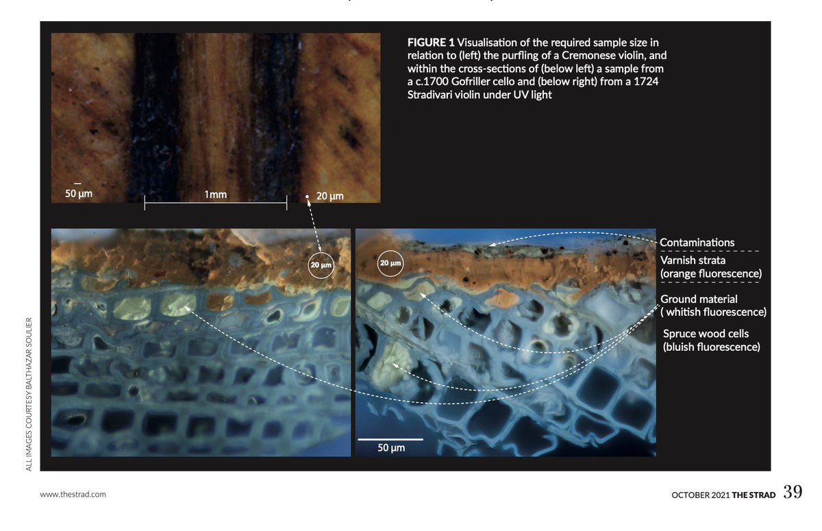 Balthazar Soulier tweet media