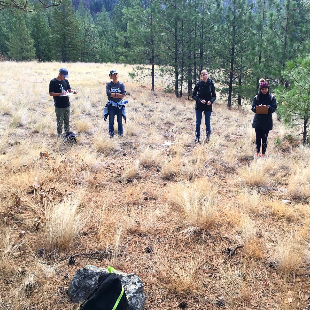 AIAO_SD22's tweet photo. Rob and Caitlin led a pro-d session on Outdoor Education through Story and Reflection. They shared how story and reflection are used at AIAO to connect students with nature and how story can come from the individual, a group, or nature itself. 🌱
@SD22Vernon @FultonSecondary https://t.co/5la4139Mjk