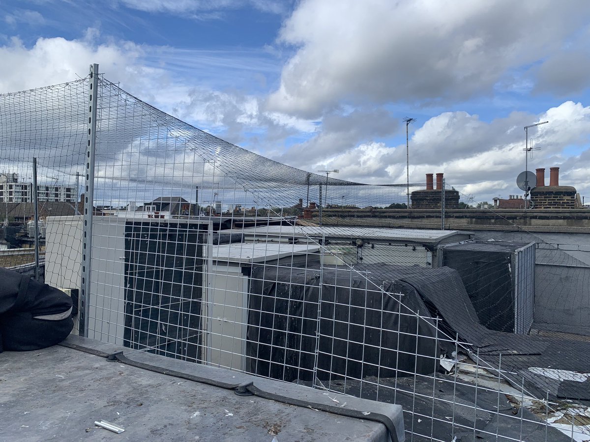 #ElectricHouse #PortebelloRoad #pigeonetting installed to return area #birdproofing