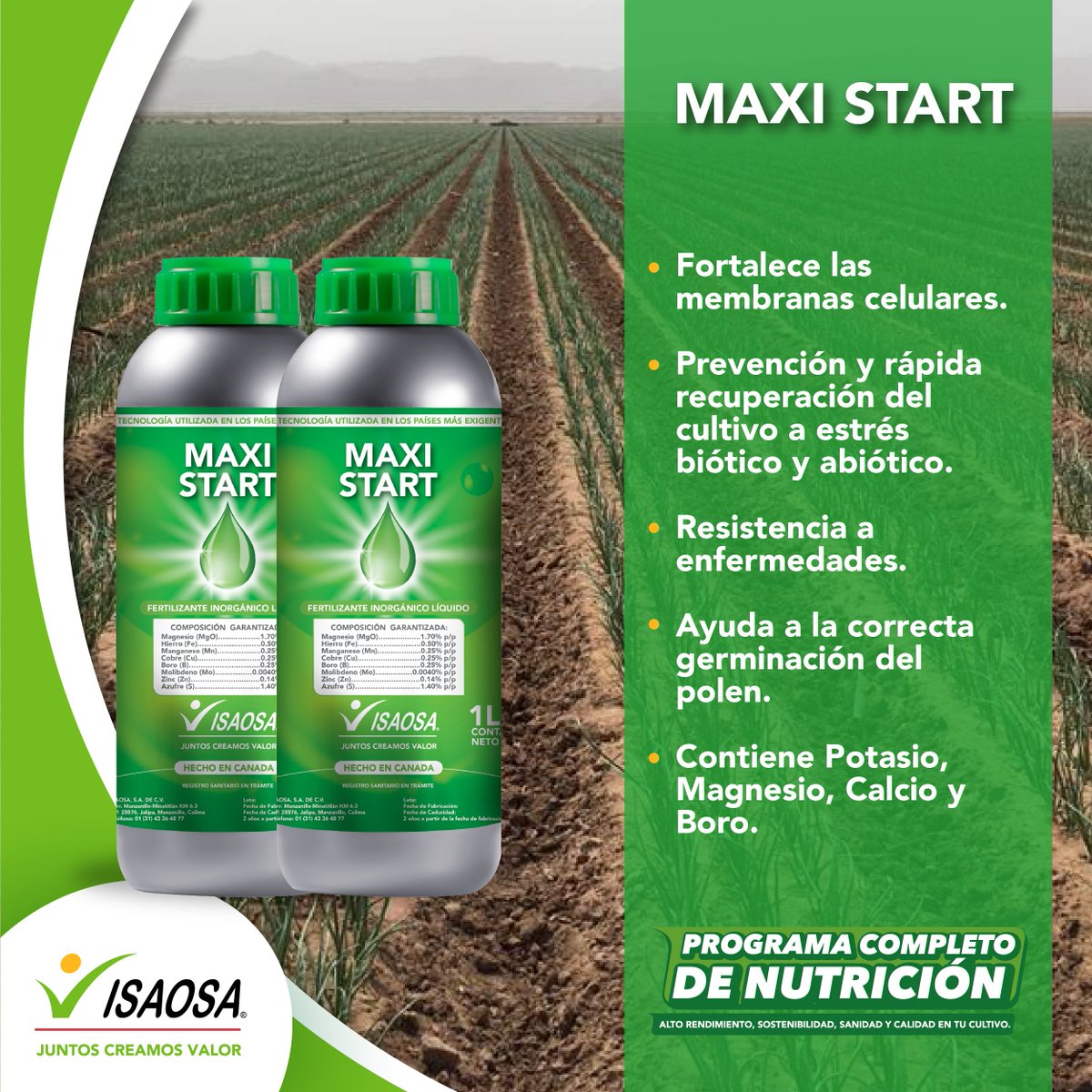 Maxi Start es un fertilizante líquido que gracias a su tecnología exclusiva aporta macro y micro nutrientes que fomentan el desarrollo de las raíces, dándole a la planta el punch que necesita. ¡Anímate a probarlo! Visita bit.ly/3exqlkO para más información.