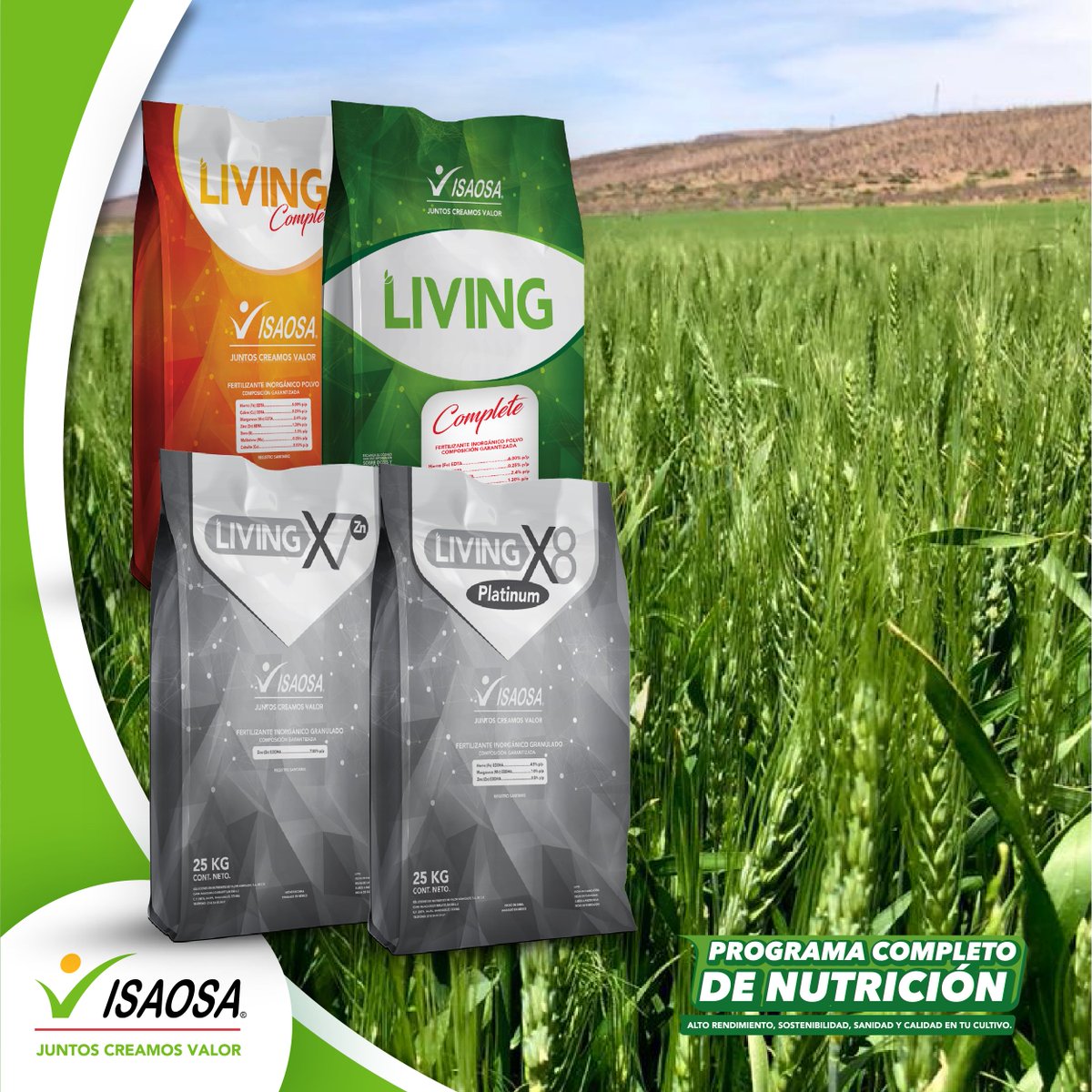 Conocemos que muchas veces los nutrientes que se aplican en la fertilización se pueden quedar en el suelo y no estar disponibles para la planta. ¡Nutre tus plantas y no el suelo! Utiliza nuestra línea de Quelatos que aseguran un 100% de disponibilidad del nutriente para la planta