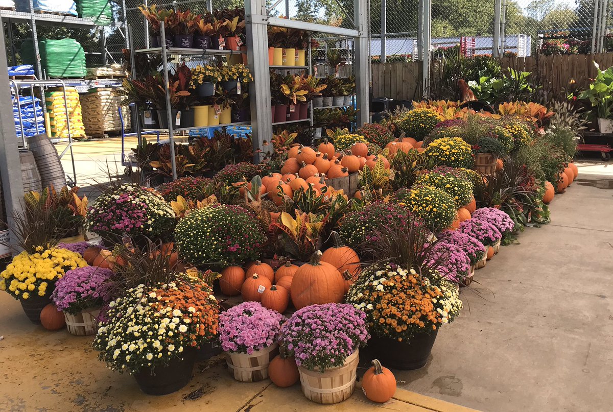 JeradClayton's tweet photo. @Lowes #527, Lancaster OH, is ready to get this Fall weekend started!!! @RlanePlants @MetrolinaGHS @kplowery6b @Jrmill840 @BSedlatschek @LBishPlants https://t.co/BykOT6Dvvo