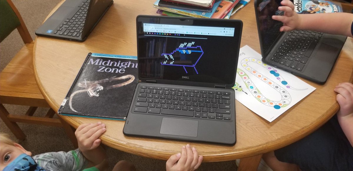 NelsonLibrary tweet media