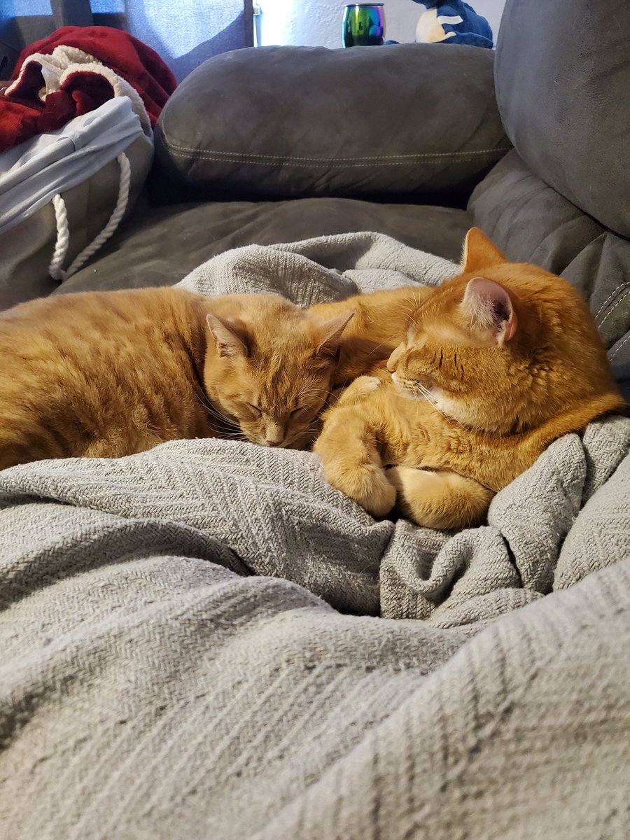 bhaswords's tweet photo. @BITCHitsMocha One more cuteness overload for you! https://t.co/YN5w1ubsuL