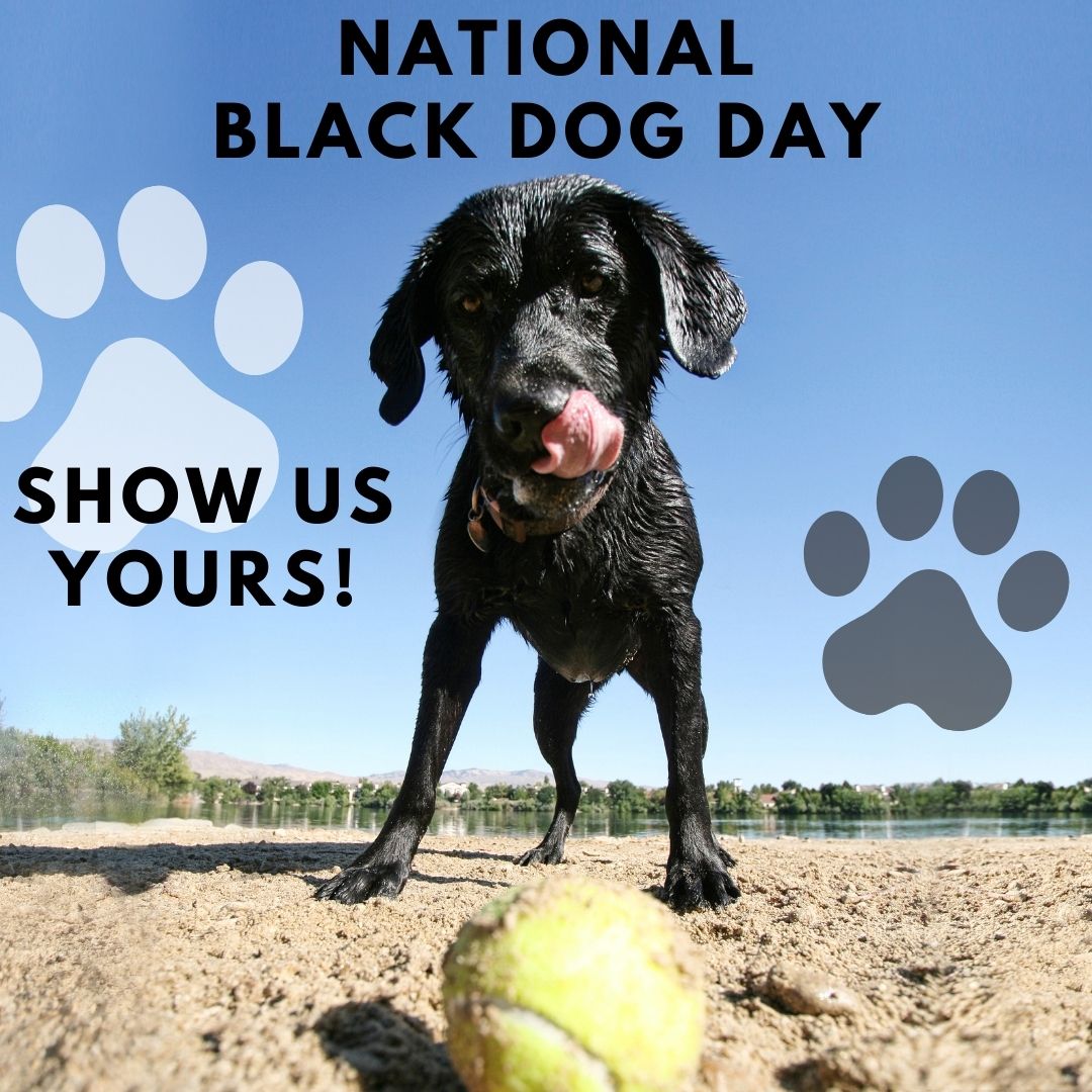 WBTV News tweet media