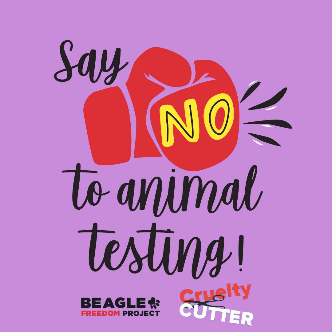 Cruelty Cutter tweet media