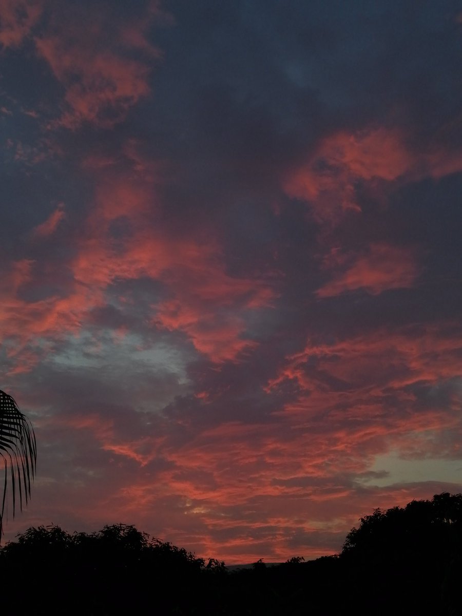 mxrshood's tweet photo. ojalá la cámara pudiera apreciar los atardeceres de la misma forma que lo hacen los ojos ✨ https://t.co/QQqekASxSS